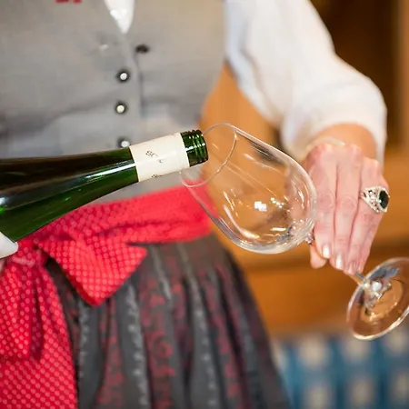 Weidenhof Hotel Klagenfurt am Woerthersee